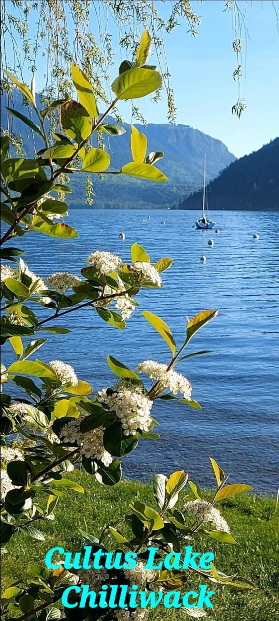 צ'יליוואק Private 2 Bedrooms Suite Near Hwy 1, Cultus Lake, Heritage Park, Fishing, Coliseum חדר תמונה