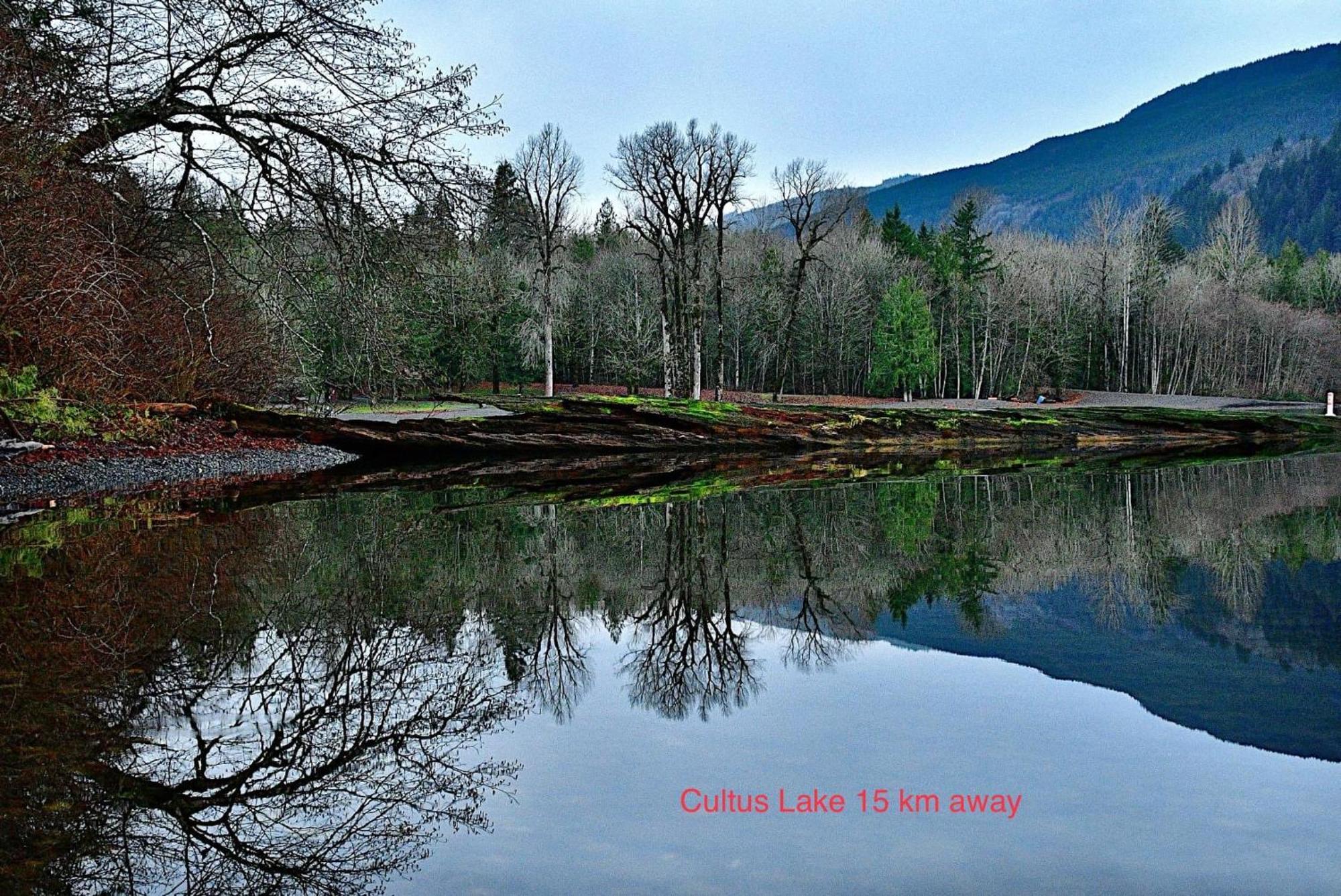 צ'יליוואק Private 2 Bedrooms Suite Near Hwy 1, Cultus Lake, Heritage Park, Fishing, Coliseum מראה חיצוני תמונה